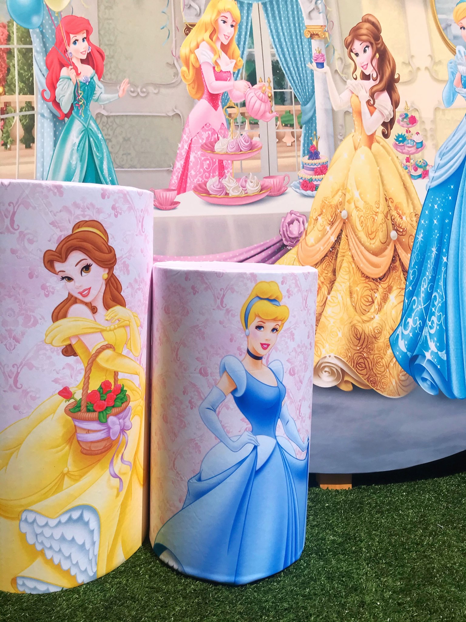 Disney Princess Package