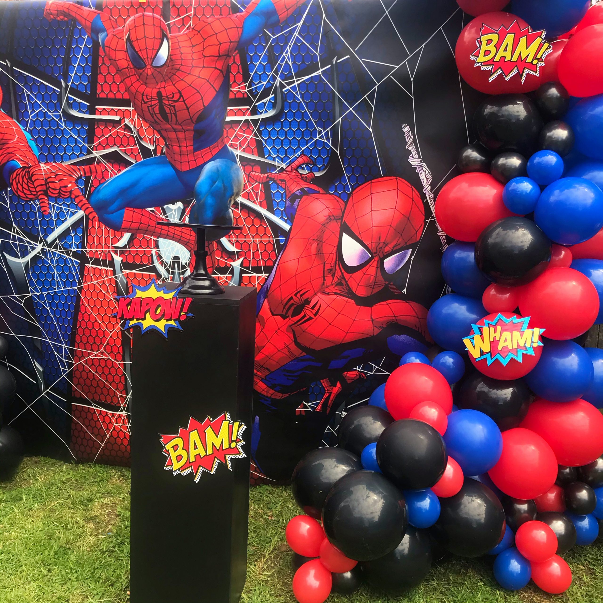 Spider Man Set up - Image 2