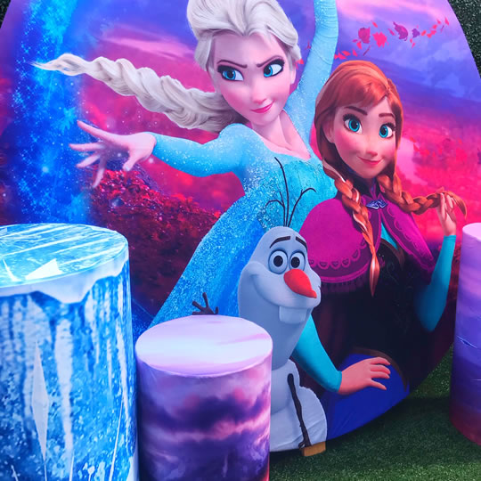 Frozen Package - Image 5