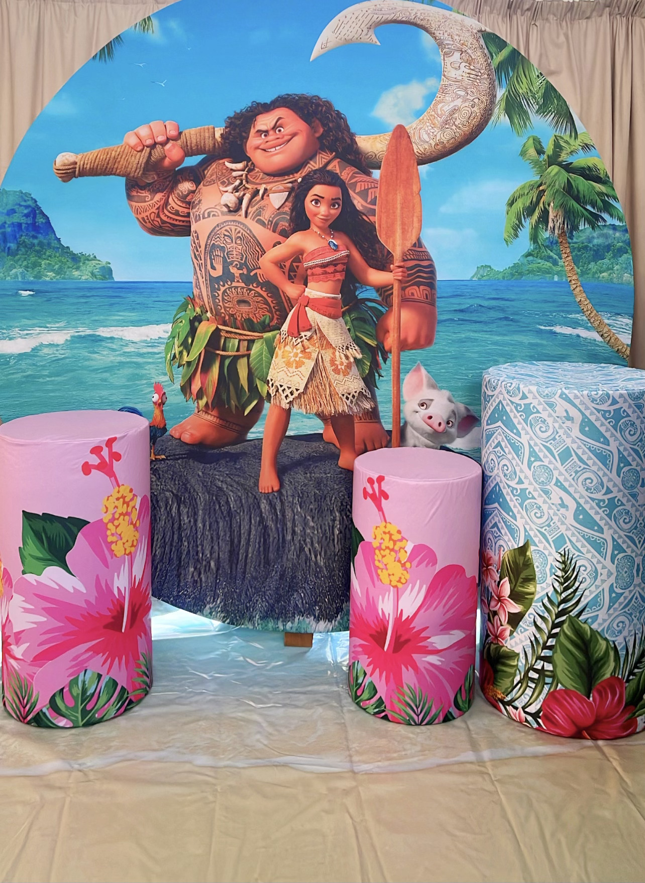 Moana Package - Image 5
