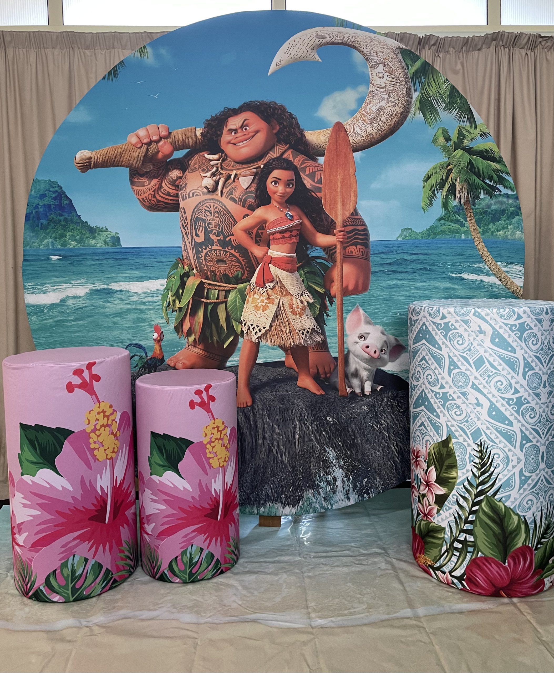 Moana Package - Image 3