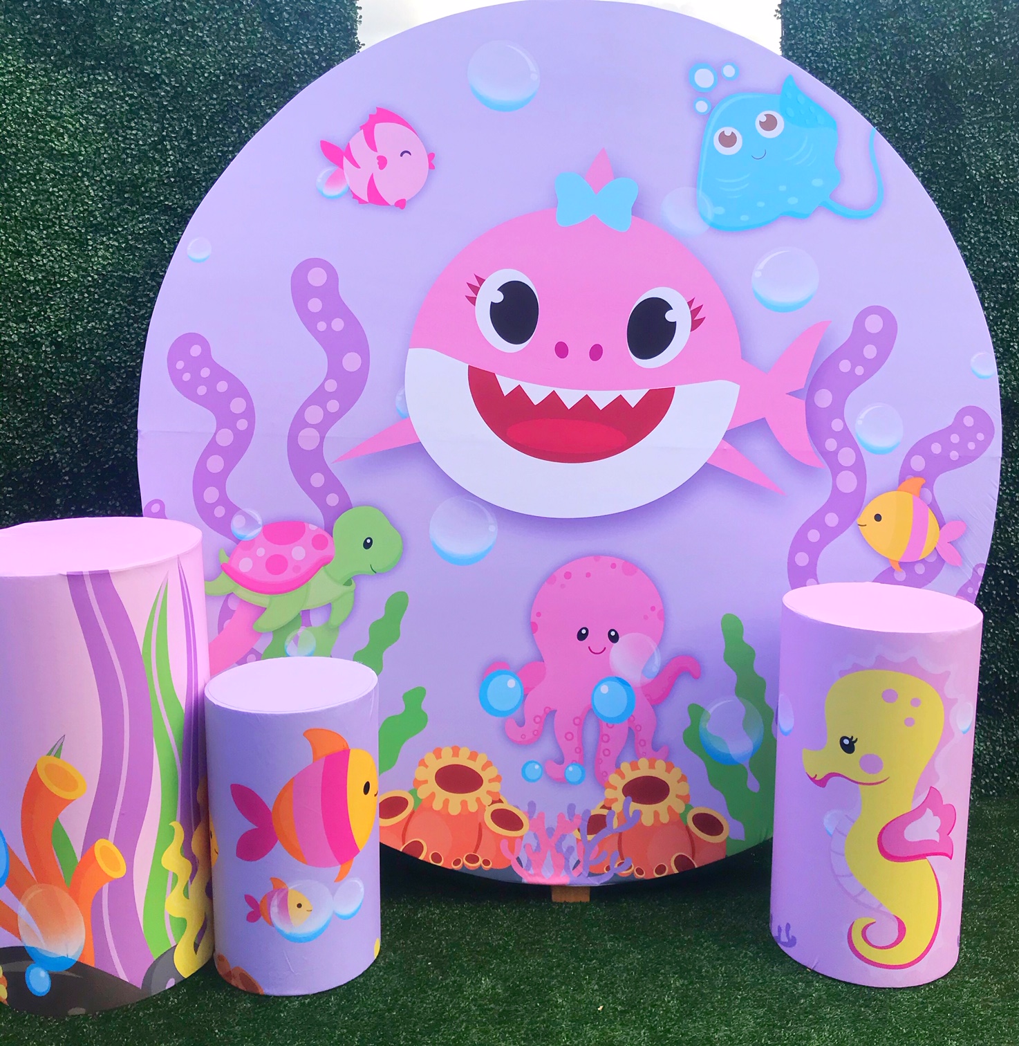 Pink Baby Shark Package