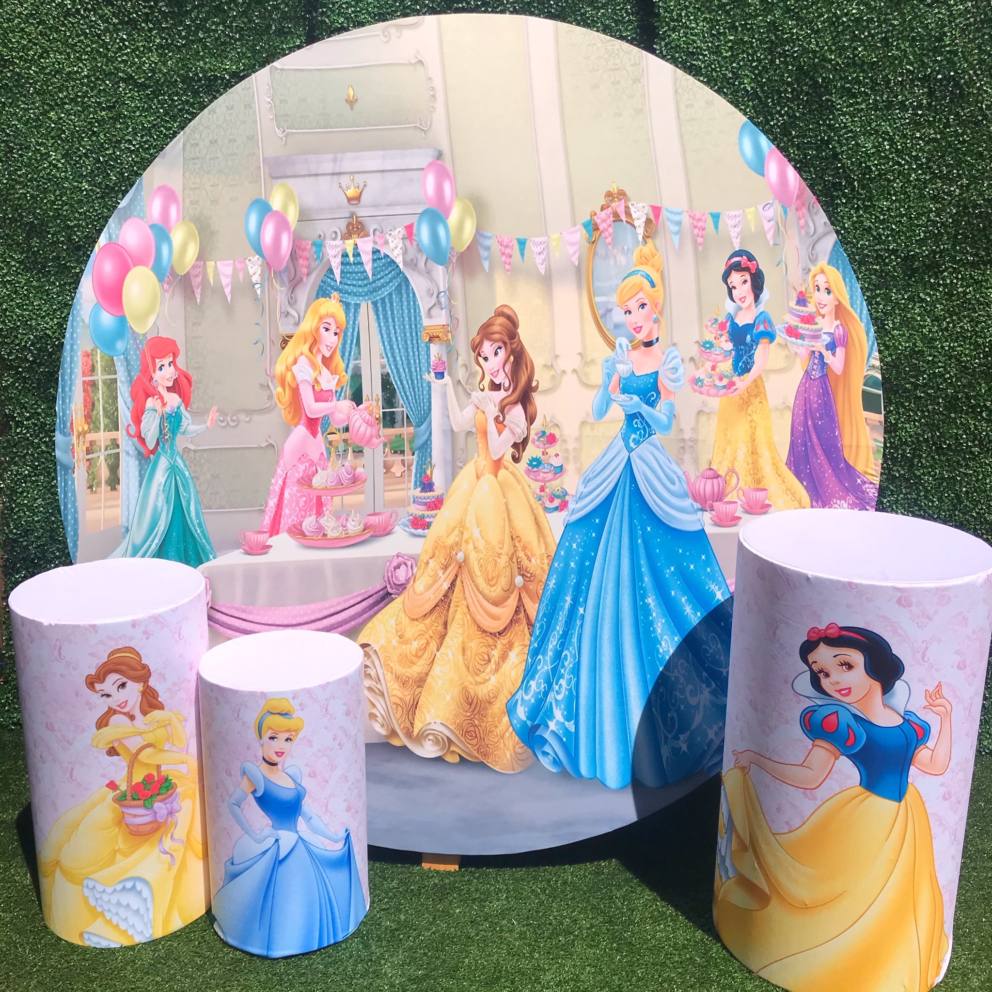Disney Princess Package